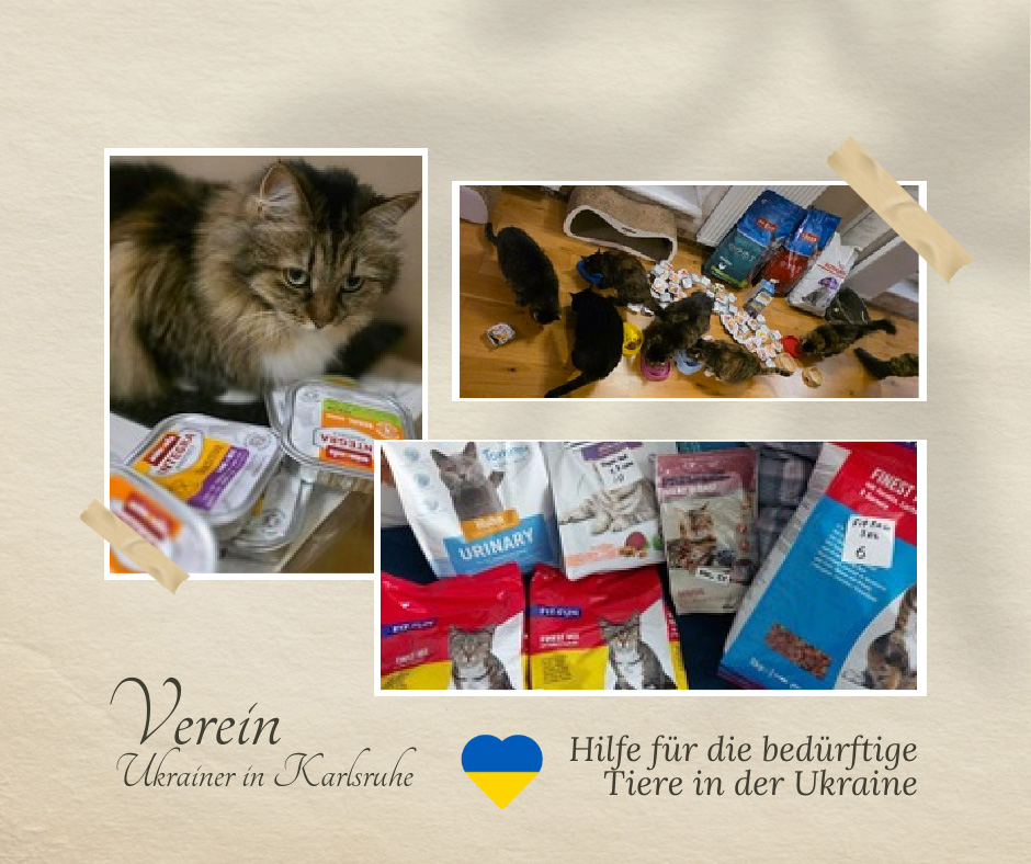 Hilfe für die bedürftige Tiere in der Ukraine. Verein Ukrainer in Karlsruhe