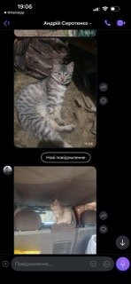 Hilfe für die bedürftige Tiere in der Ukraine. Verein Ukrainer in Karlsruhe