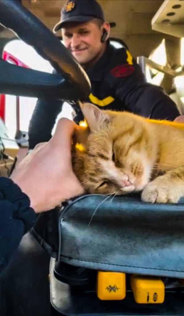 Auch das Maskottchen freut sich